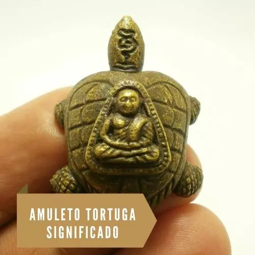 Amuleto tortuga significado